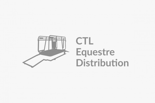 Pourquoi utiliser un tapis roulant pour vos chevaux ?