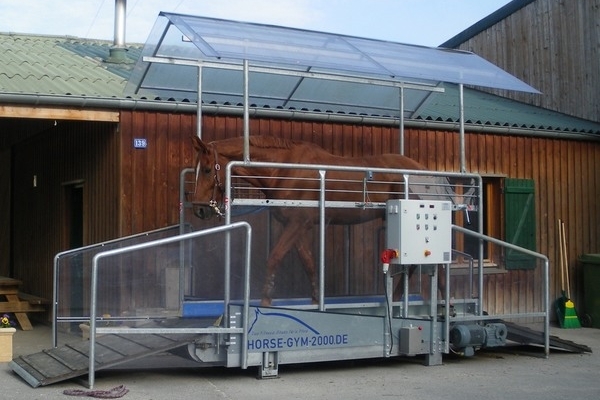 Pourquoi utiliser un tapis roulant pour vos chevaux ?